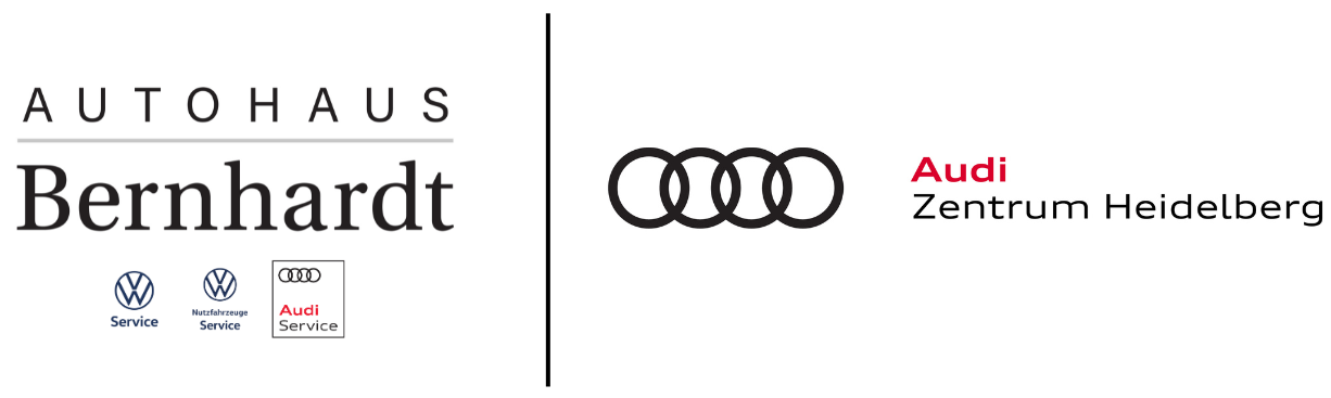 LOGO-dummy